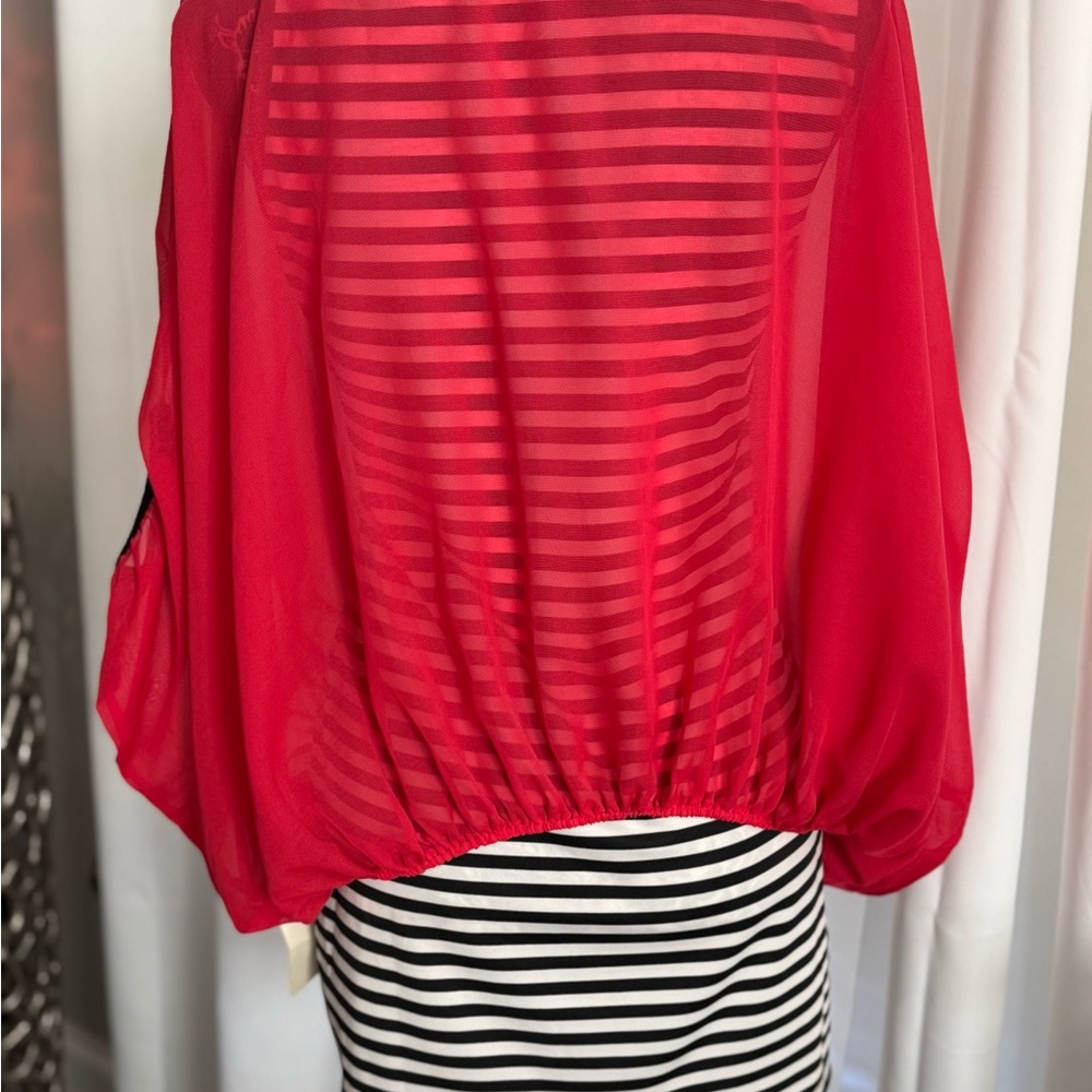 Red Sheer Striped Blouse